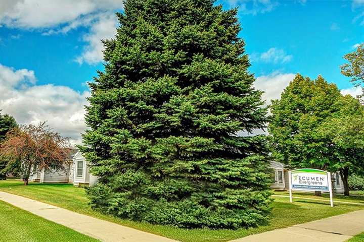 A large spruce pine tree on a corner lot next to a sign that reads Ecumen Evergreens of Fargo.