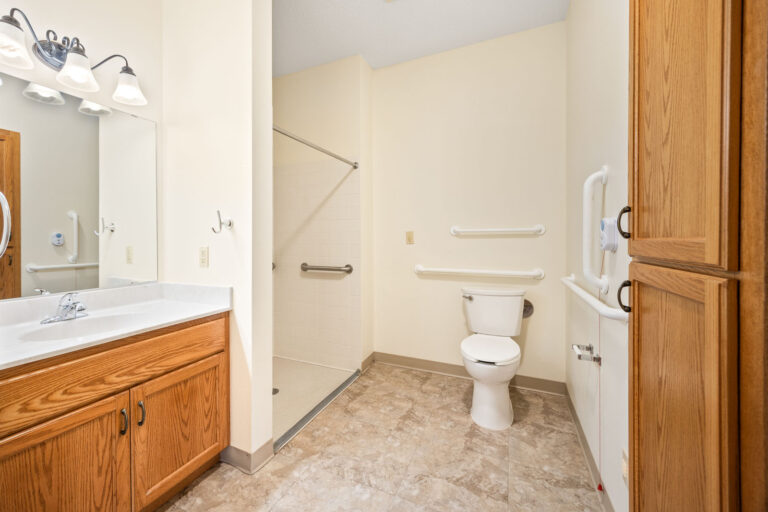 Accessible bathroom with roll-in shower, grab bars, toilet, and wooden vanity with mirror.