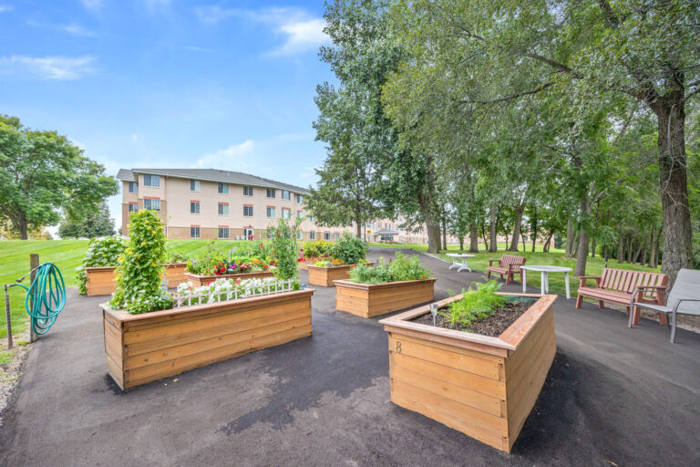 Raised garden beds with various plants on a paved path, near benches and a multi-story building, trees nearby.