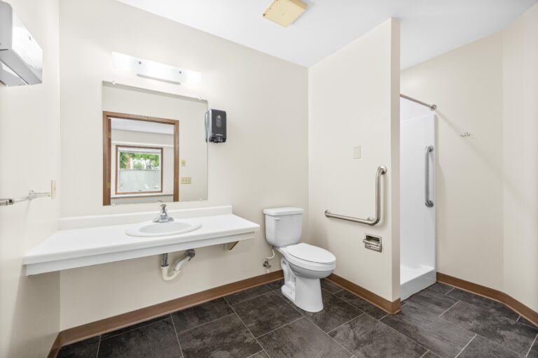 Accessible bathroom with sink, toilet, grab bars, shower, and a large mirror above the sink.