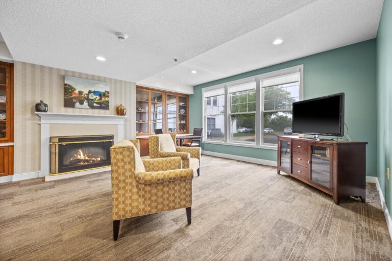 A cozy living room with two armchairs, fireplace, TV, large windows, and built-in shelving.