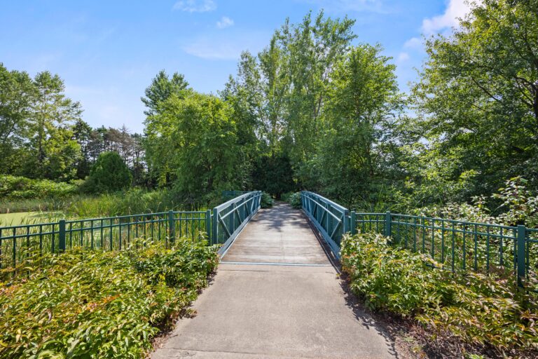 A small metal footbridge surrounded by lush green trees on a sunny day.