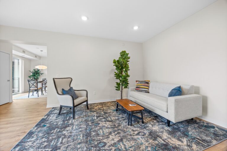 Modern living room with a gray sofa, armchair, coffee table, and a large plant on a patterned rug.