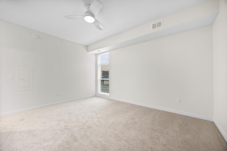 Empty room with beige carpet, white walls, a ceiling fan, and a window letting in natural light.