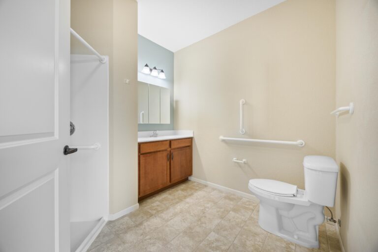Accessible bathroom with grab bars, a toilet, sink with mirror, and a walk-in shower.