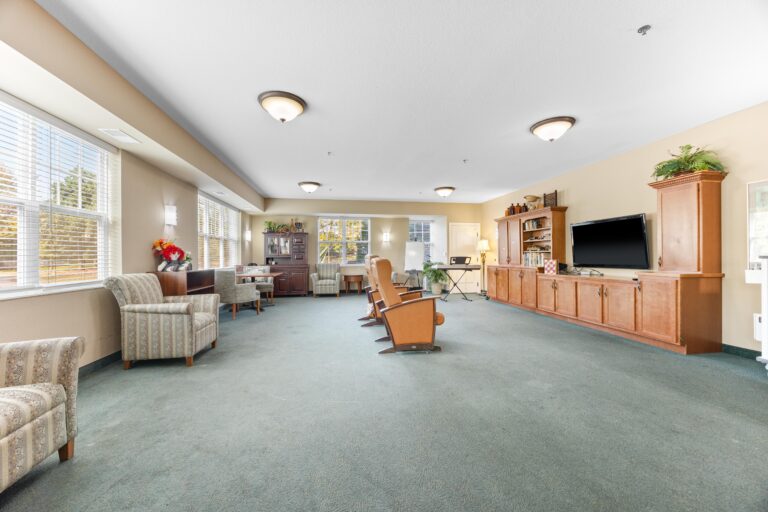 Spacious living room with large windows, armchairs, TV, and wooden cabinets on a blue carpeted floor.
