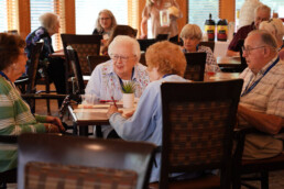 A group of elderly people sit together at tables, talking in a sunlit room with wooden blinds.