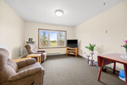 Lamplighter Manor - apartment interior