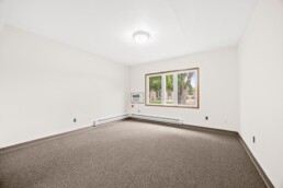 Lamplighter Manor - apartment interior