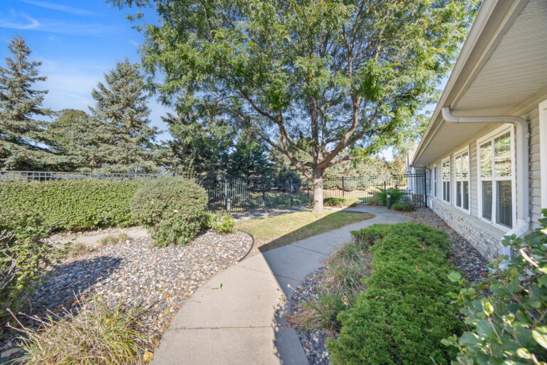 Curved sidewalk by a building, lined with bushes and rocks, leading to a large tree and fenced yard.