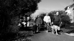Two older women and an older man walking two dogs on a paved path. Black and white photo.