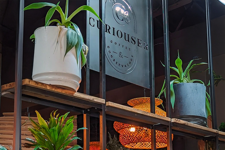 Wood and metal retail shelving, featuring a coffee shop's name, Curiouser, laser cut into a metal panel.