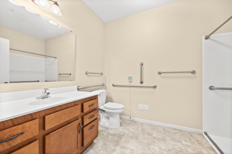 Large bathroom with grab bars, walk-in shower, toilet and long sink vanity and mirror.