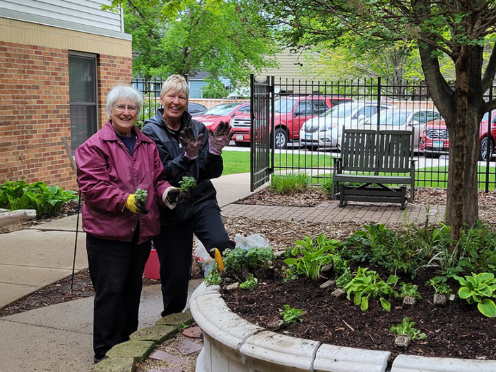 2 Volunteers helping with spring planting