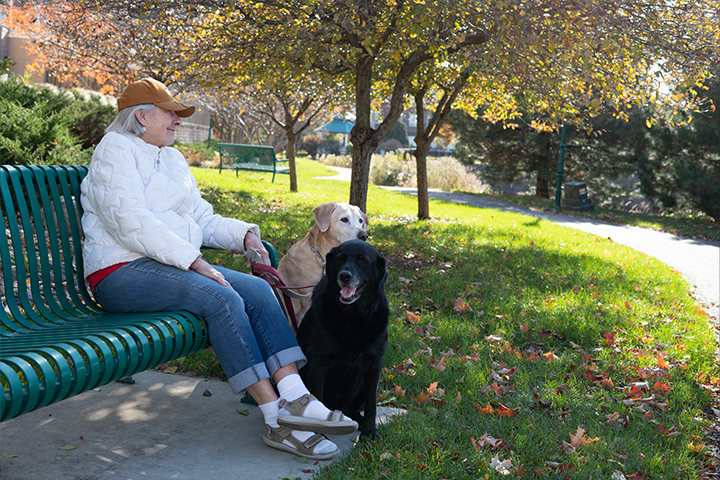 An older woman wearing jeans, a down jacket and baseball cap, sits outside on a bench near crab apple trees, holding the leashes to her black lab and yellow lab on a sunny fall day.