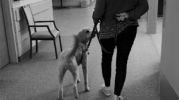 a volunteer with a therapy dog visiting a community