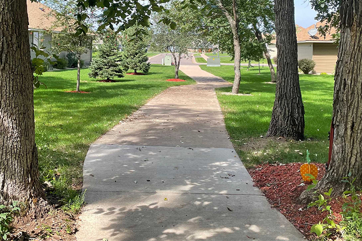 A paved walkway through a park lined by large trees.