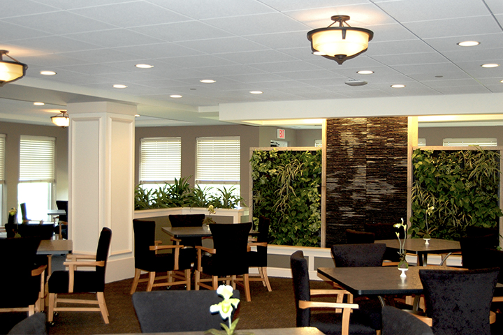 A bright dining room with four-top tables, upholstered arm chairs and a wall feature with living plants growing on the wall.